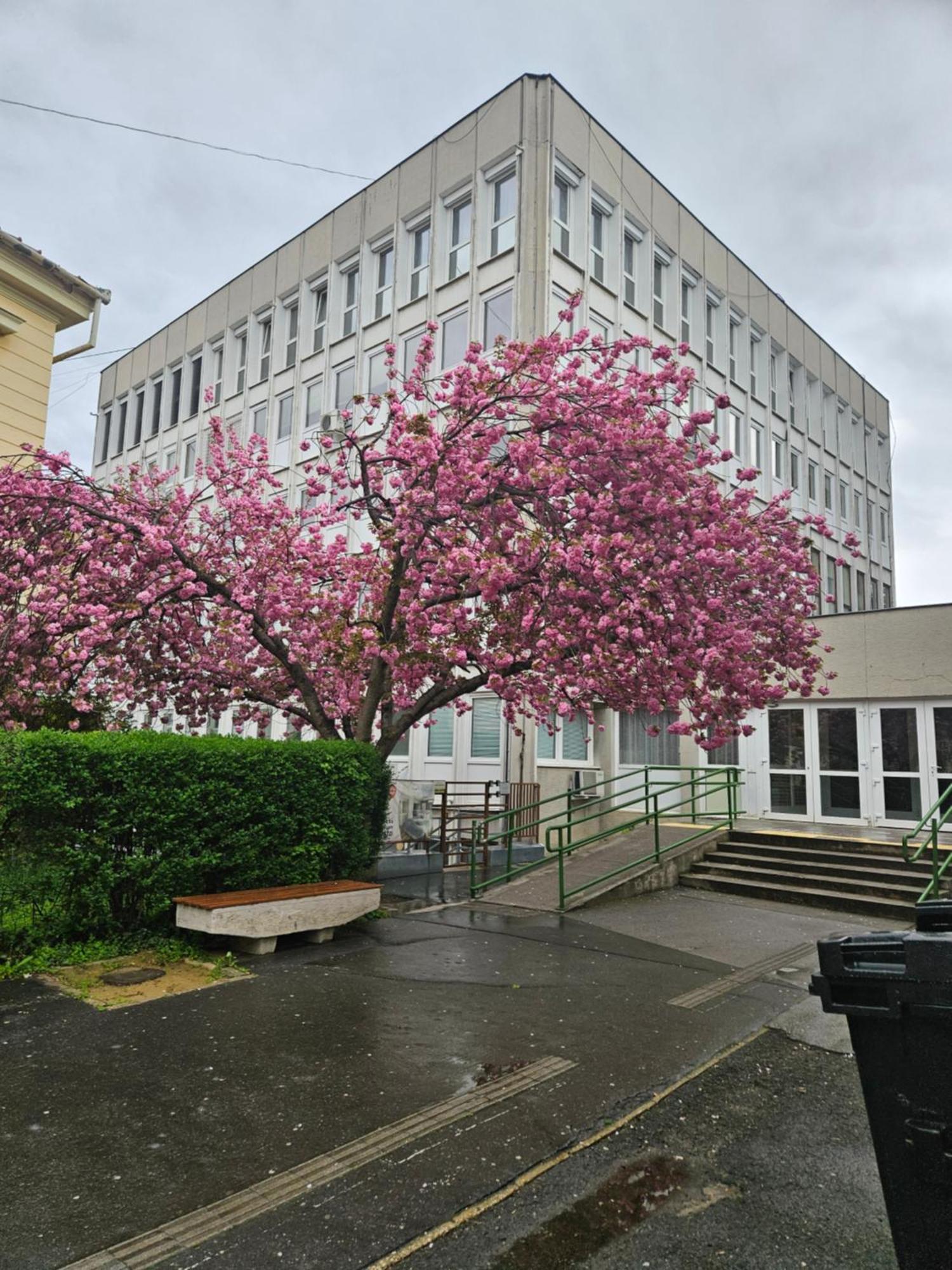 Hellowine Apartman Eger Exteriör bild